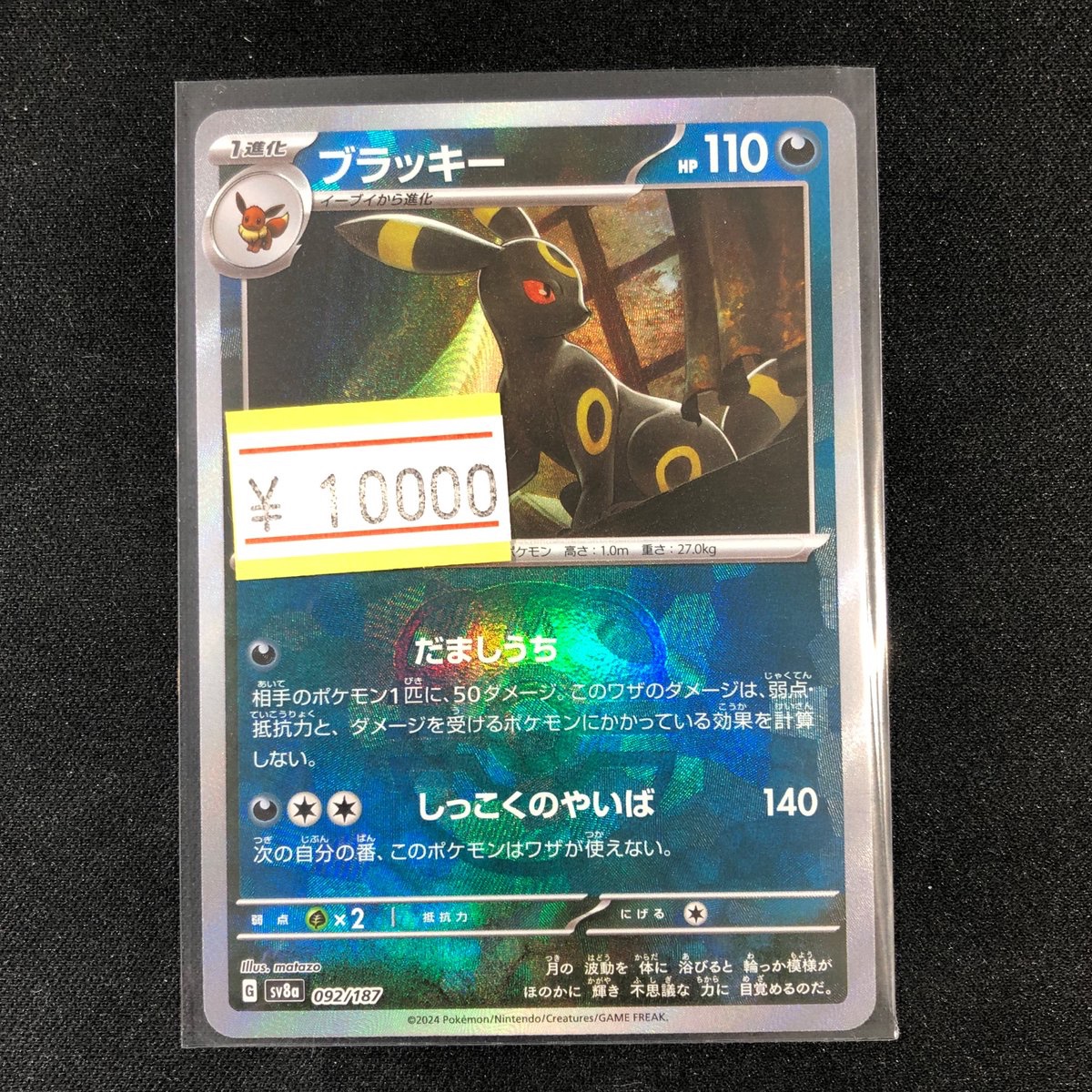 特価情報】 大人気‼️ブラッキーのマスボ、入荷しました‼️ ✨訳アリ