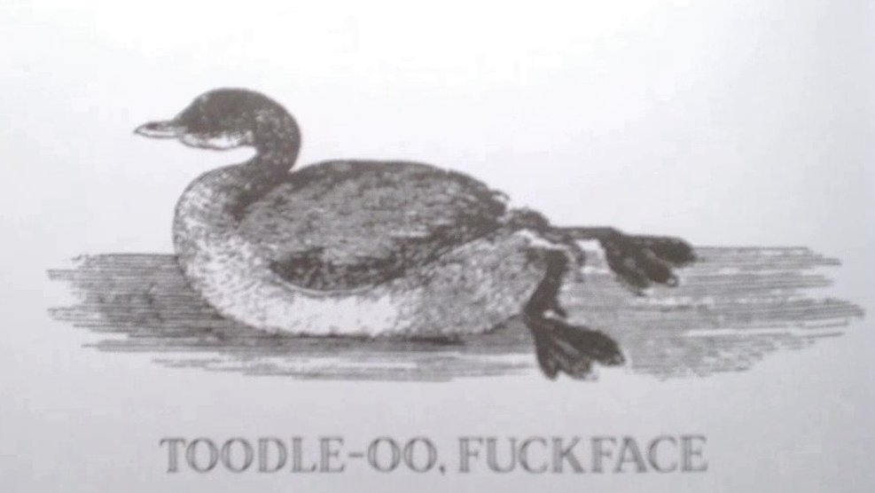 Plumpy_Frunkis's tweet image. Man I love reading