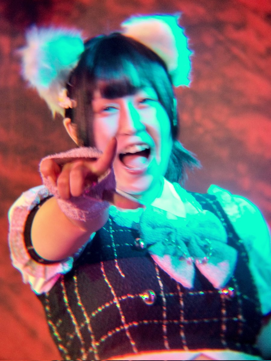 Nyankono_oheya 20251122（土）秋葉原Venus #にゃんにゃんふぇす