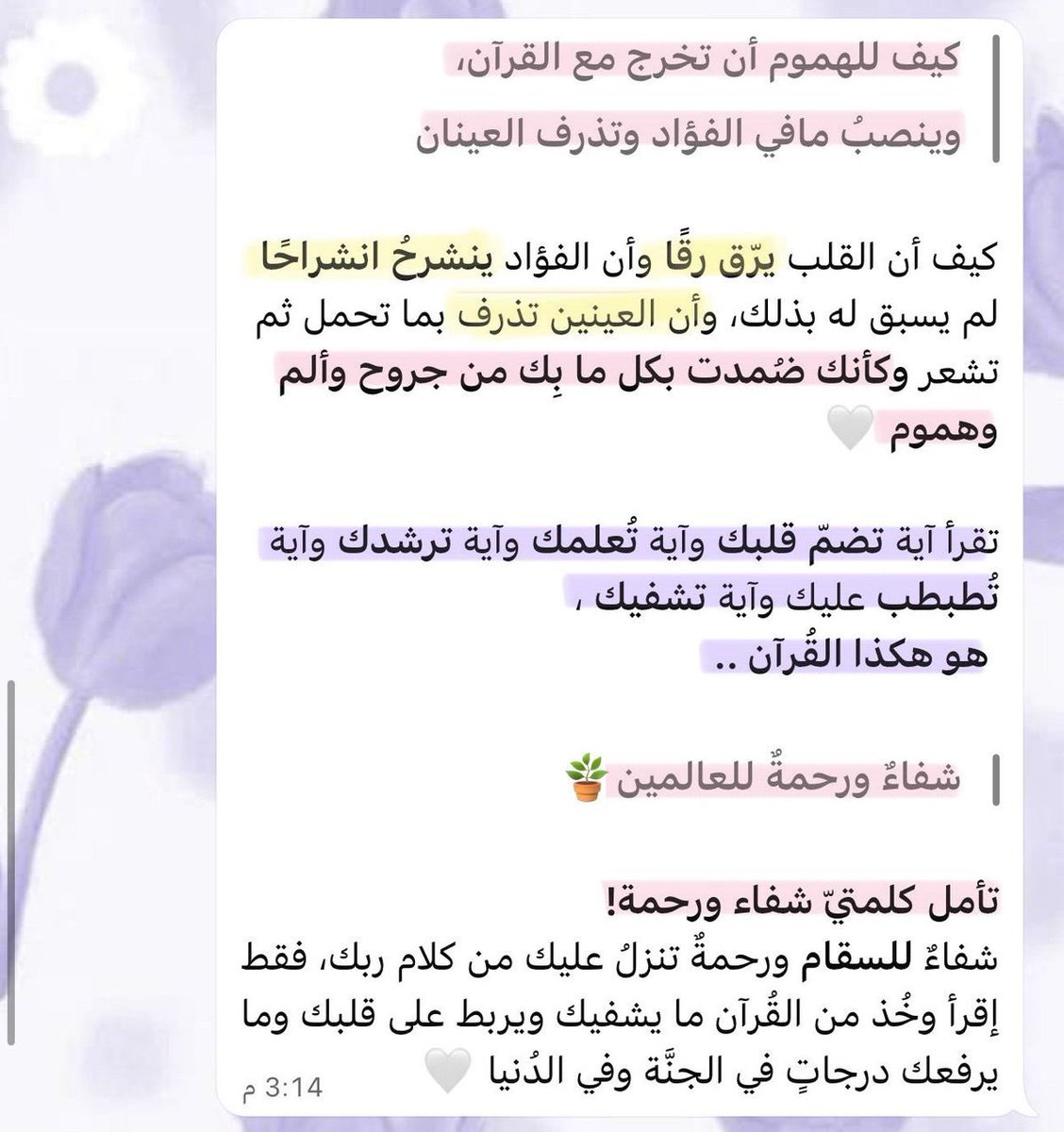 كيف للهمومِ أن تخرج مع القرآن؟
وينصبُ مافي الفؤاد وتذرفُ العينان..
تقرأُ آيةً تضمّ قلبك وآيةً تُعلمك، وآيةً تُرشدك، وآيةً تُطبطبُ عليك وآيةً تشفيك.

هكذا هو القُرآن شفاءً ورحمةً للعالمين!