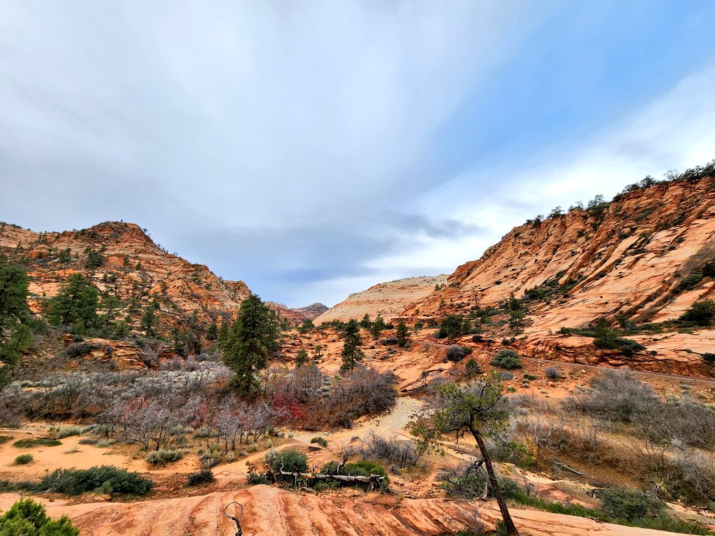 #ZionNationalPark is something special...Amazing colors...we had a unique morning with the fog.