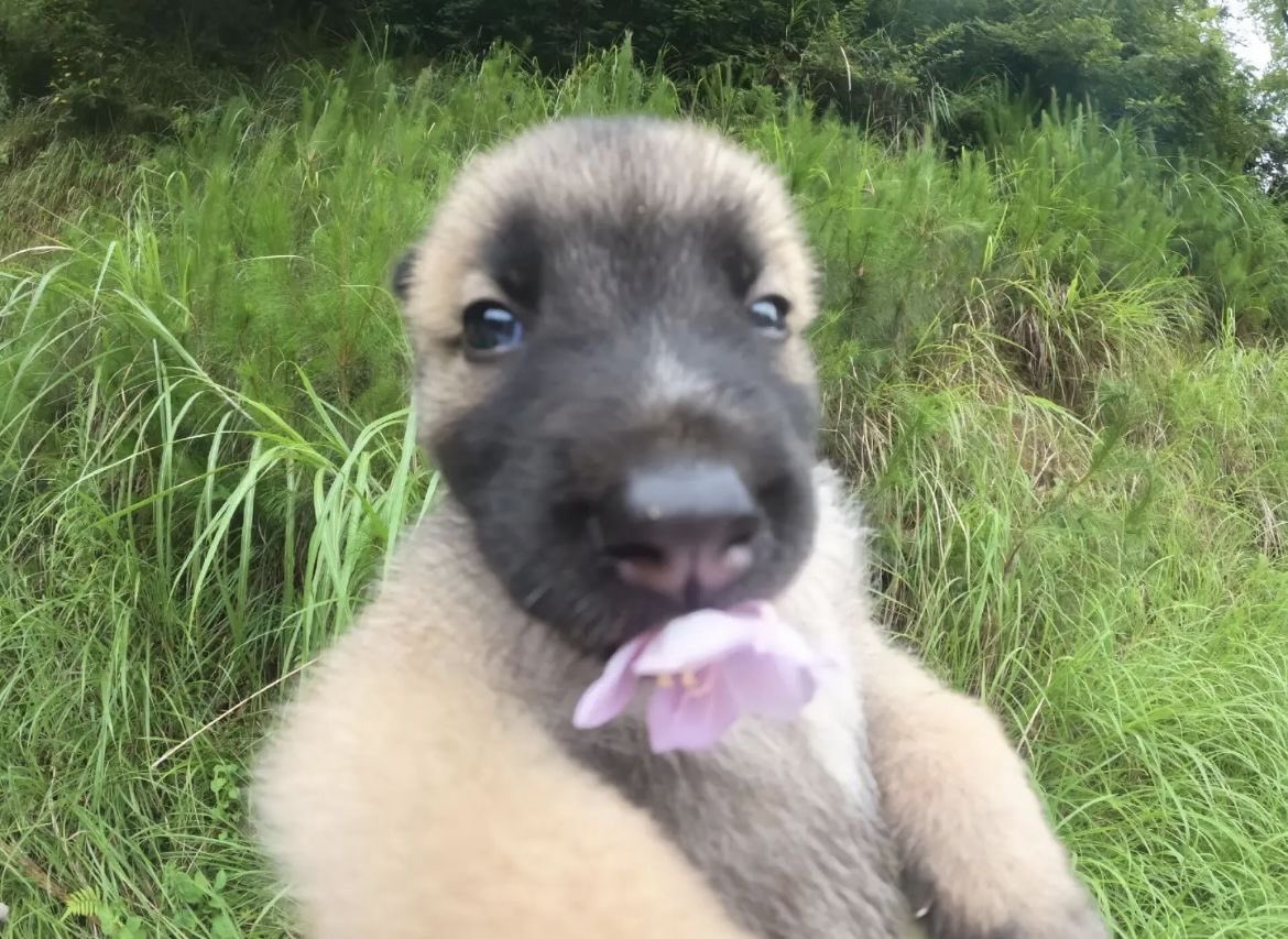 faewings's tweet image. ✽.𖤣.𖥧.𖡼.⚘.❁