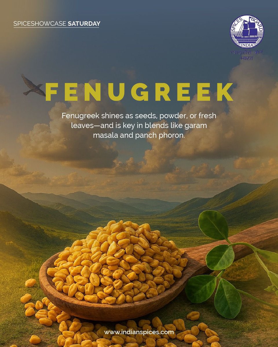 Spices_Board's tweet image. A truly versatile spice that works in multiple forms, elevating everything from curries to seasoning mixes.
#SpiceShowcaseSaturday #FenugreekShowcase #VersatileSpices #CookingWithSpices #SpicesBoard