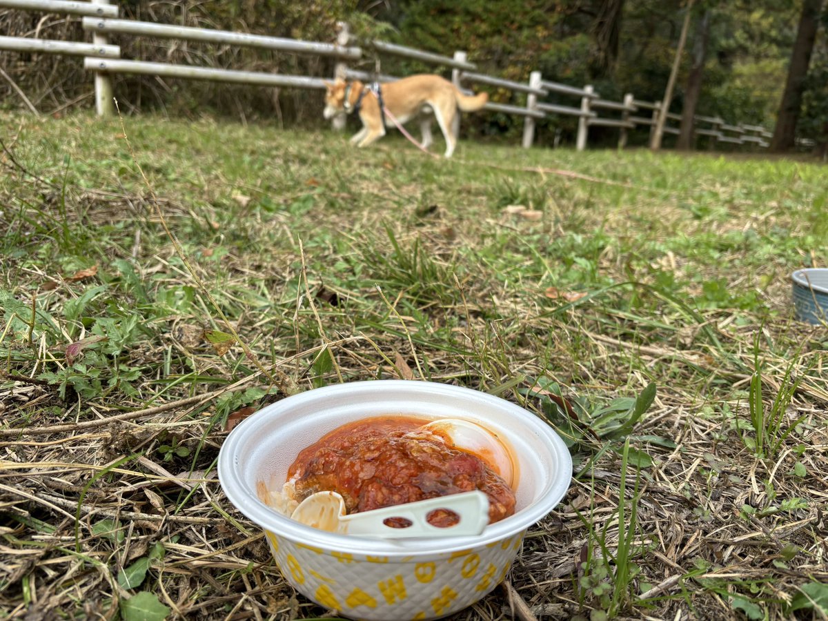 野外松屋と犬
#雑種犬