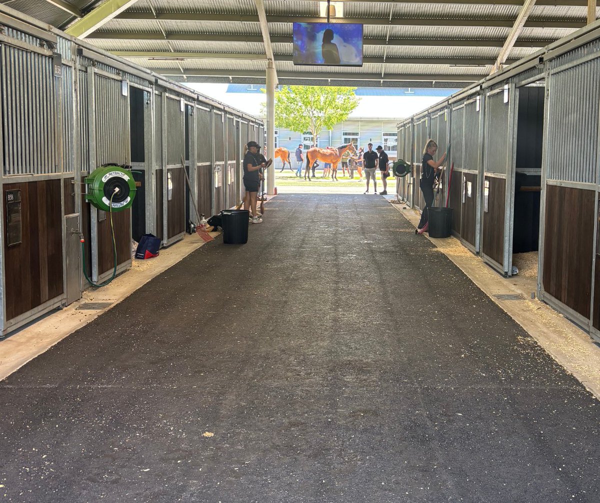 ArdexTechnology's tweet photo. Where champions are found, Ardex is trusted 🐎
From Ready2Race to top stables worldwide, our technology helps the industry’s best run smarter, faster, and more efficiently.

#ArdexTechnology #EquineSoftware #SmartStable #IndustryLeaders #HorseIndustry #HorseSales https://t.co/Z4ey6HU3Rr