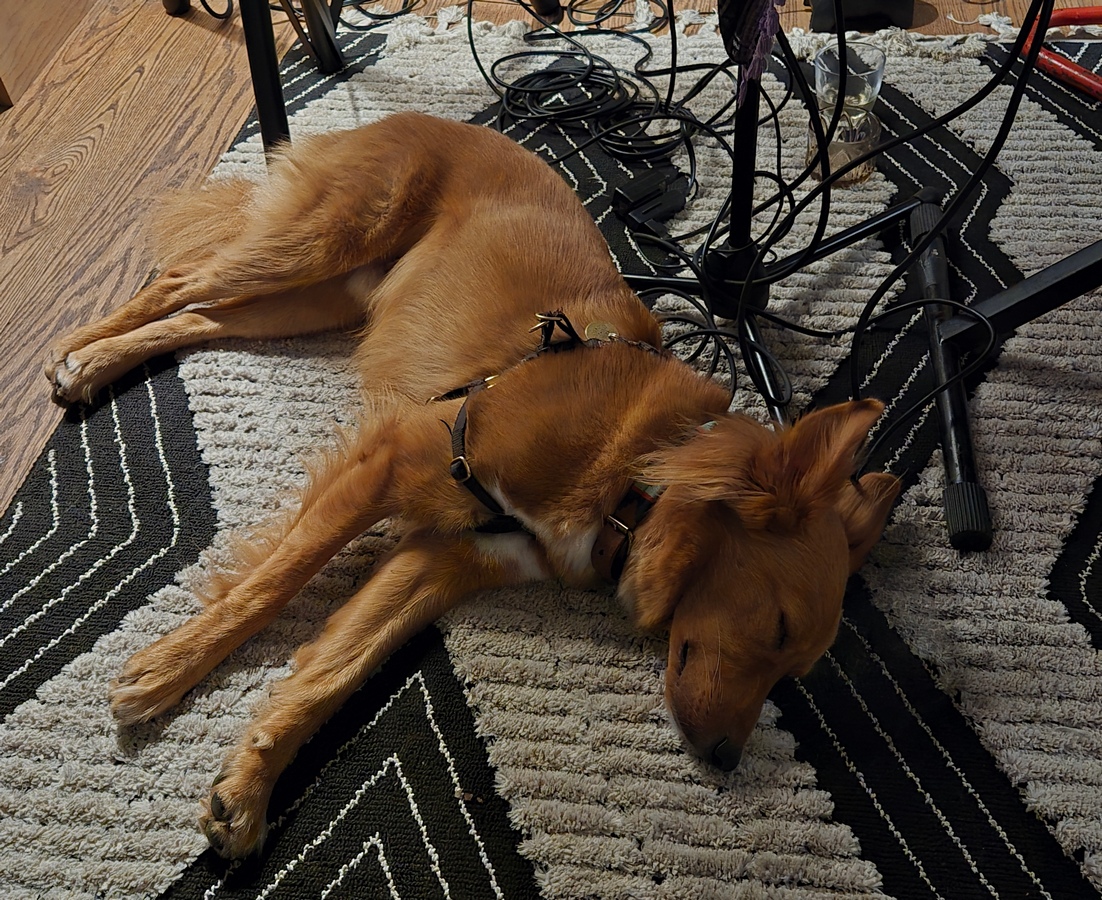 Her dog Arrow, really well behaved, he kept her company but he wasn't much of an accompanist