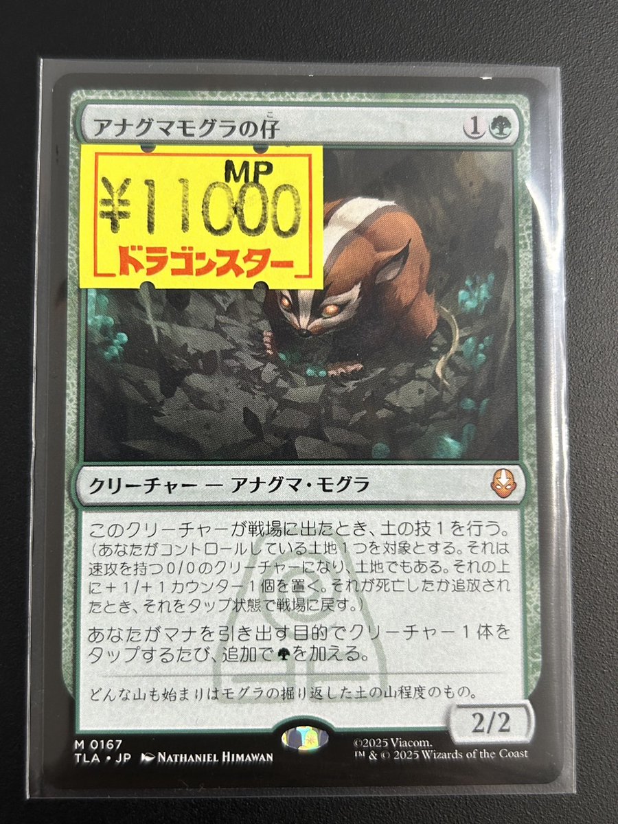 キズ有り特価】 アナグマモグラの仔が特価で入荷しました🔥 プレイ用に