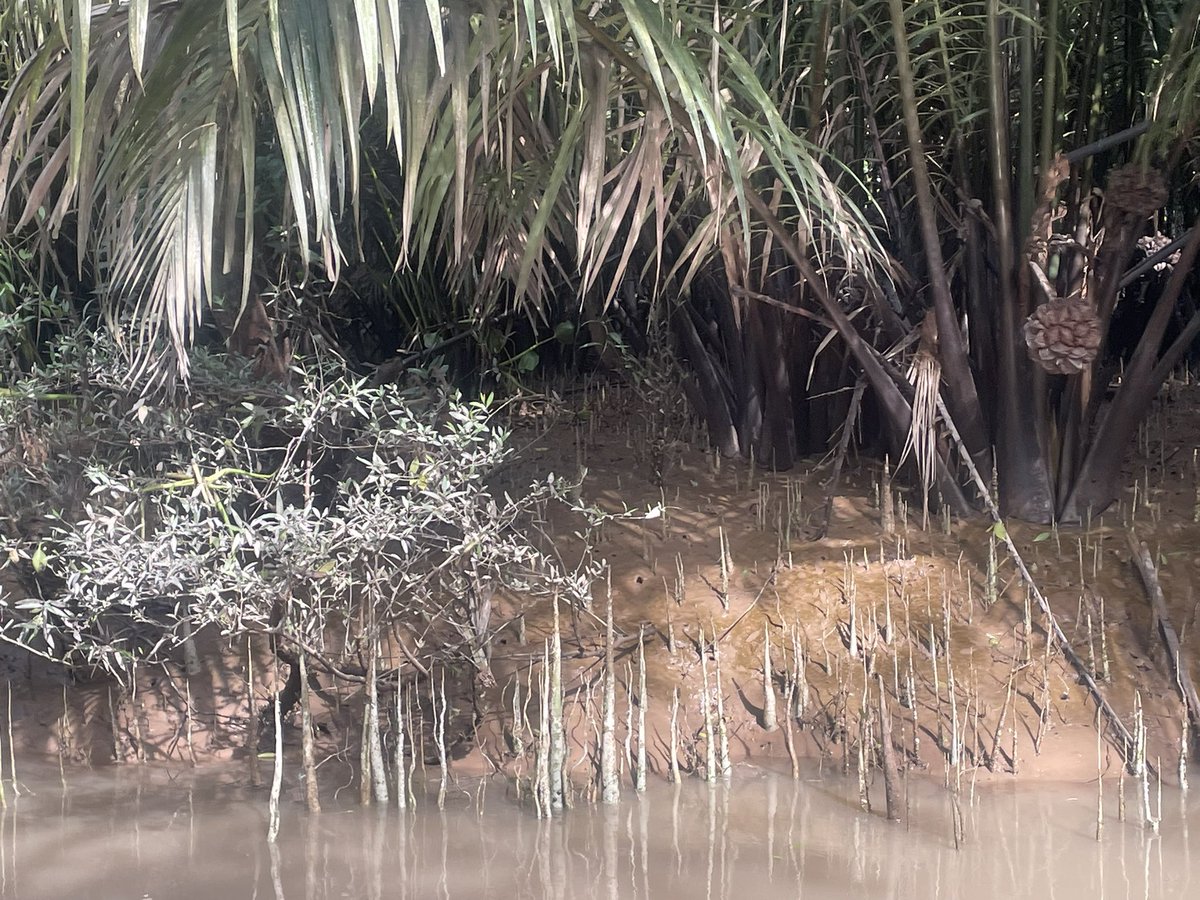 Maria 🔴⚪️ tweet media