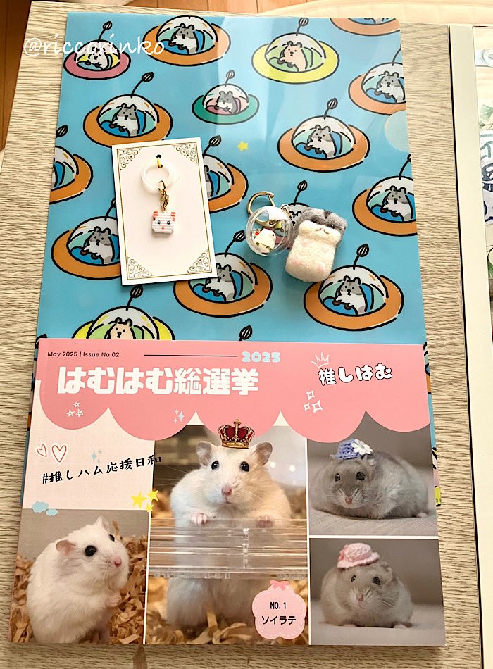 紅玉 林子 (@riccorinko) / Posts / X