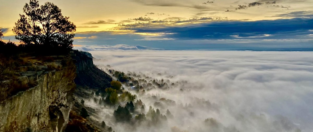 Steve Prosinski tweet media