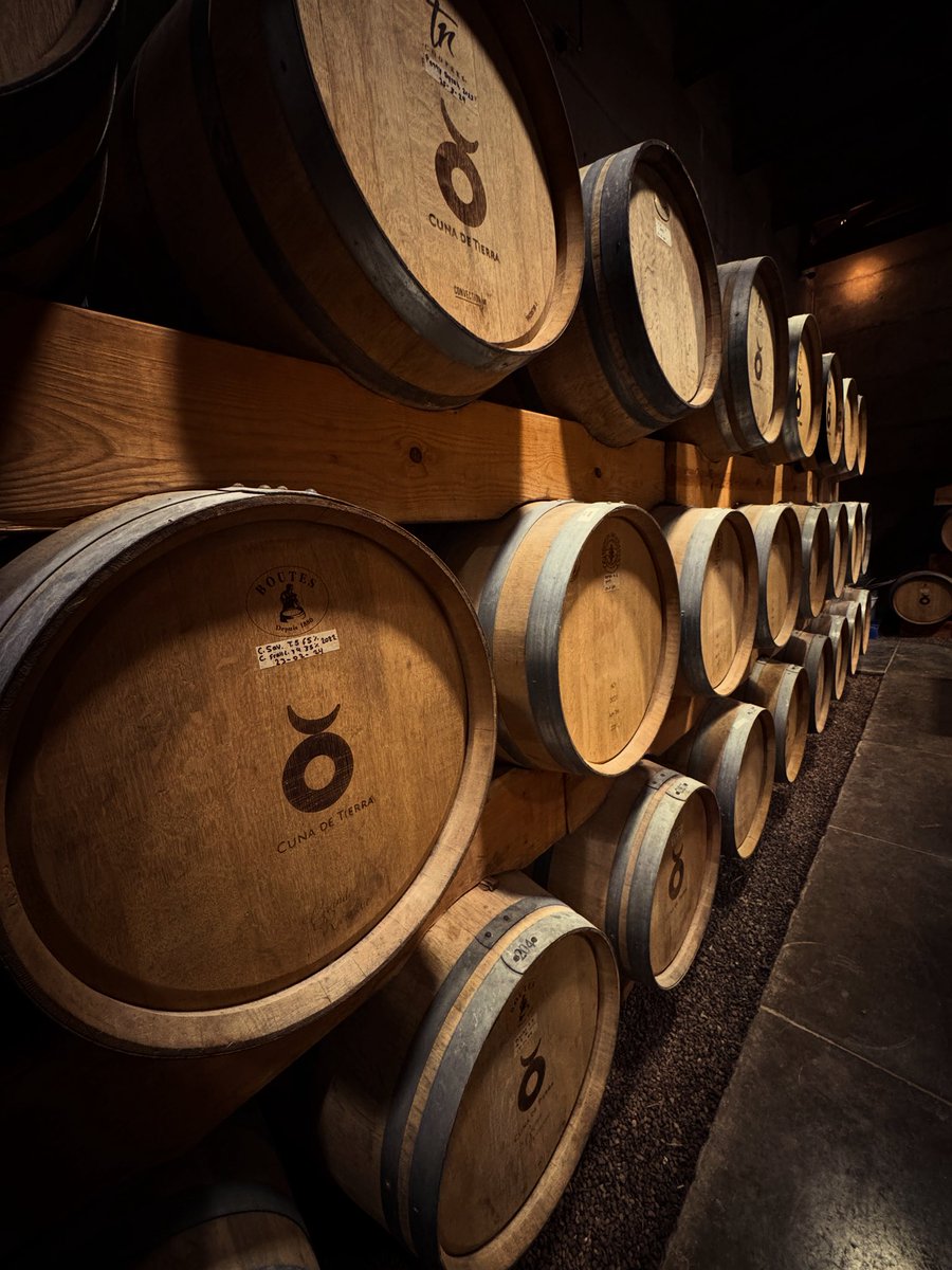 Ser el primero nunca ha sido fácil y <a href="/cunadetierra/">4taVendimia</a> lo sabe. 
El primer viñedo de la era moderna en #Guanajuato pareciera que ya lo conocemos, pero tiene mucho que ofrecer. ¿Hace cuánto que no te das una vuelta? 
#TomaVinoDeGto 🍷