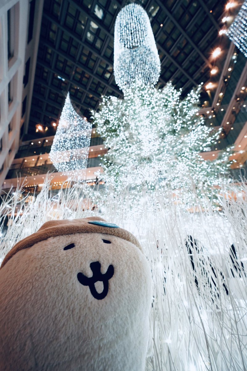 ω・)こんな感じです←人いっぱい