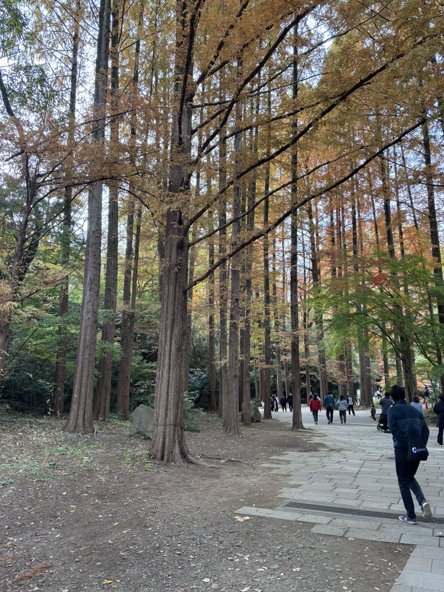 Snowwind_7's tweet image. 秋やんね