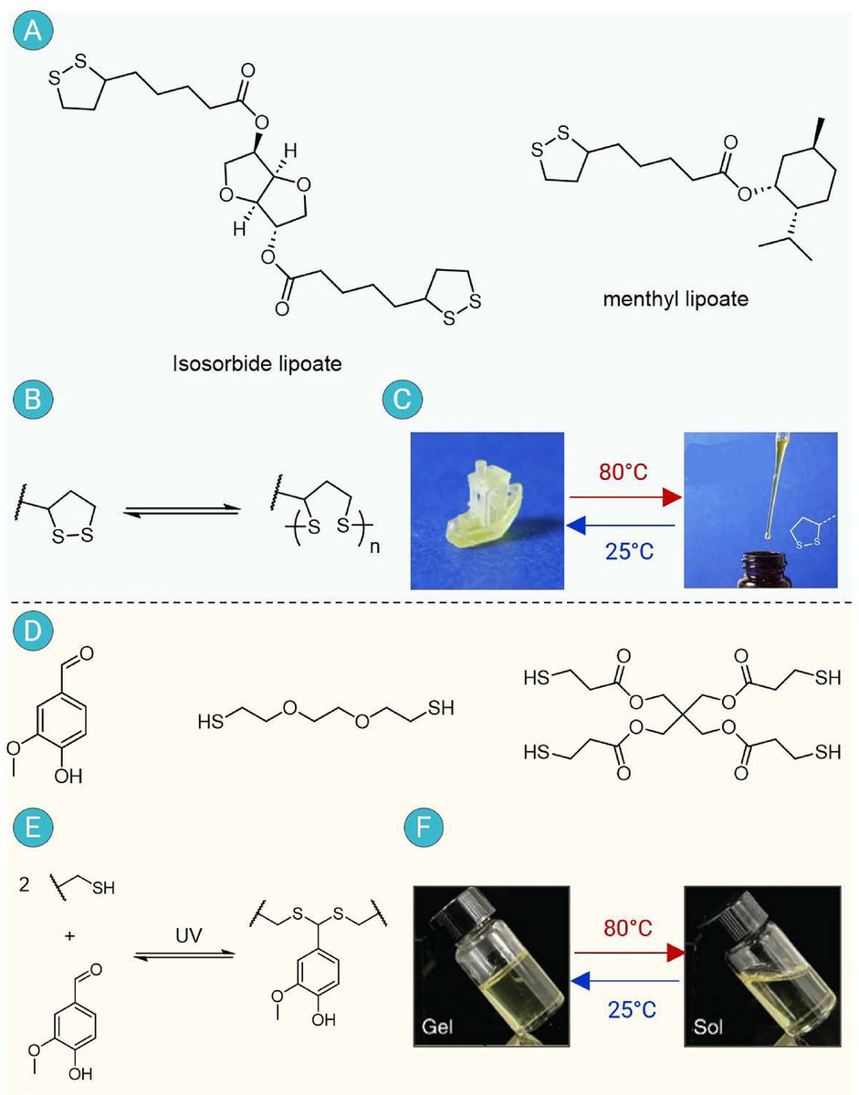 The Innovation: a Cell Press partner journal tweet media