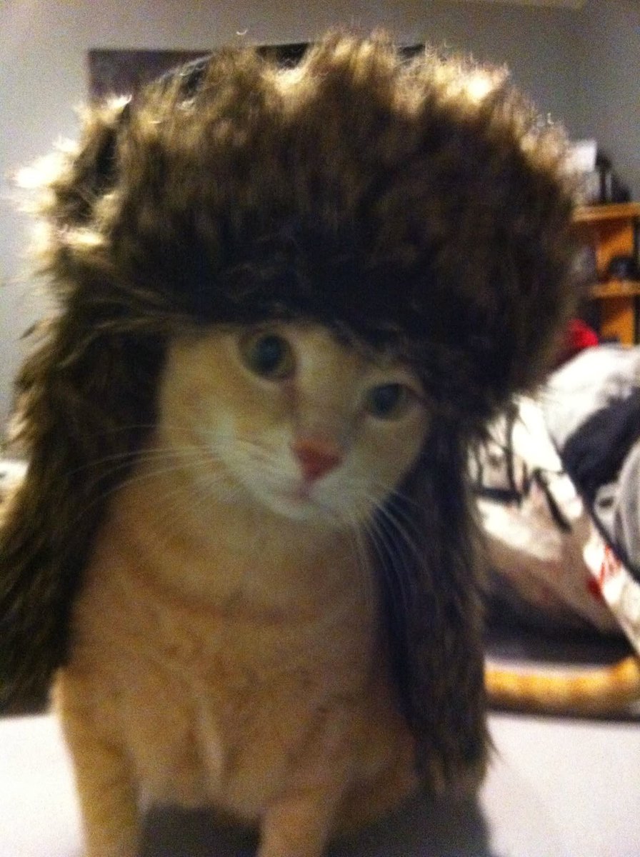 faewings's tweet image. the type of vibe i bring to the function