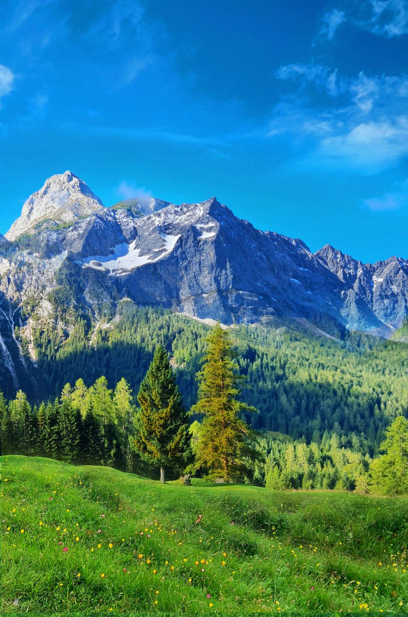 curiousAbo1975's tweet image. Good morning everyone 🔆☘️🍁🌼
#sundayvibes