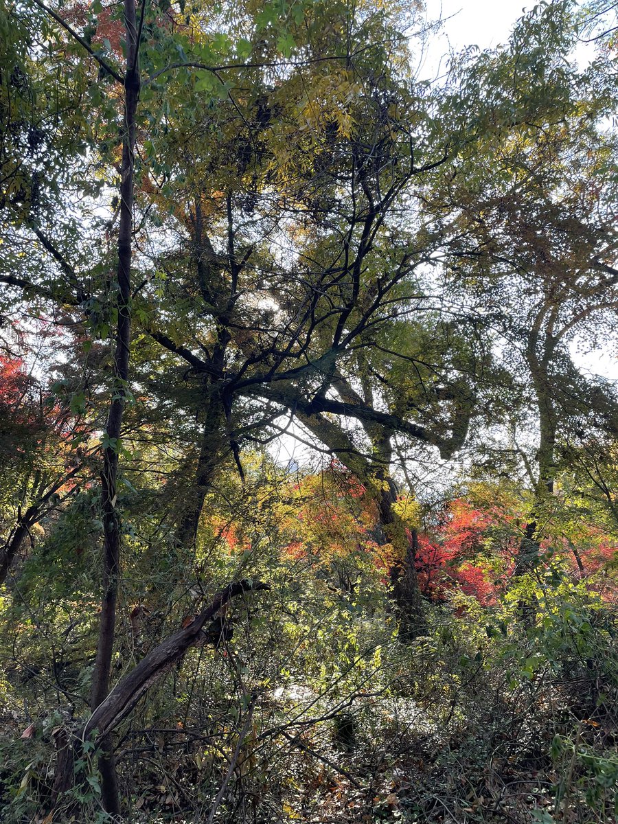 서울 맑은 하늘 사진