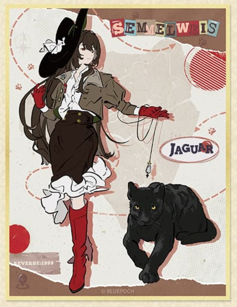 八咫烏 Merui tweet media