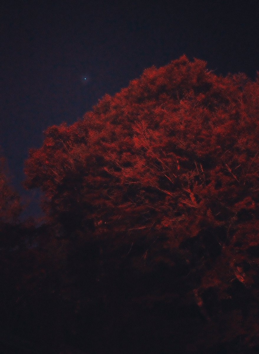 Kunrong Yap tweet media