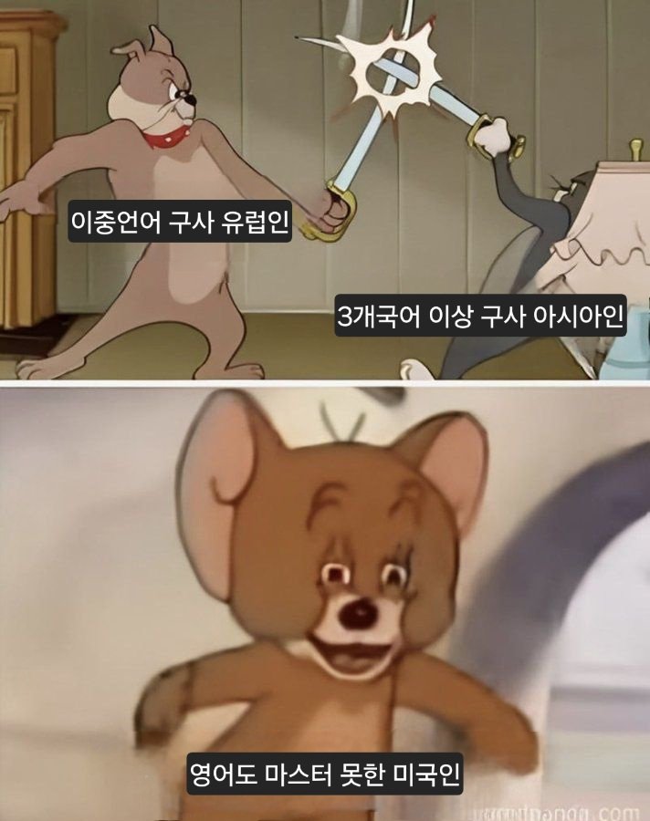jima_meme's tweet image. 영어도 마스터 못한 미국인
