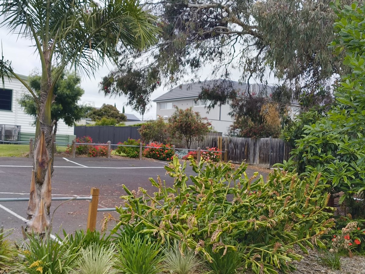 SsChugh's tweet image. Good morning darshan.
It&apos;s evening here now .