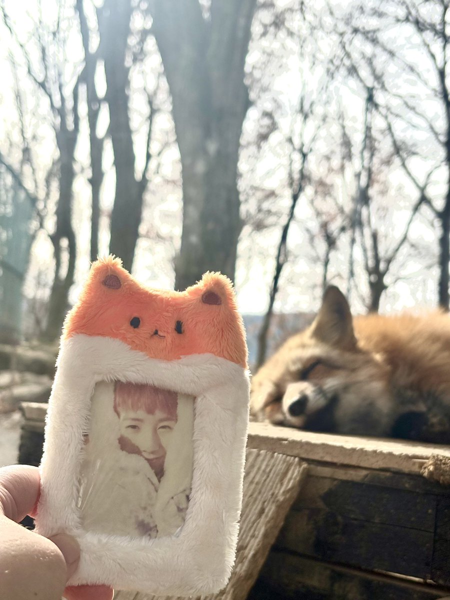 dr__mory's tweet image. 런쥔이 만나고 왔어 😍🦊