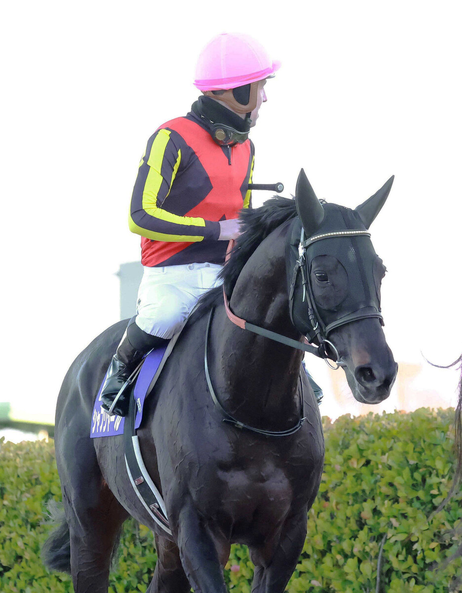 白正 (@shiro781) / Posts / X