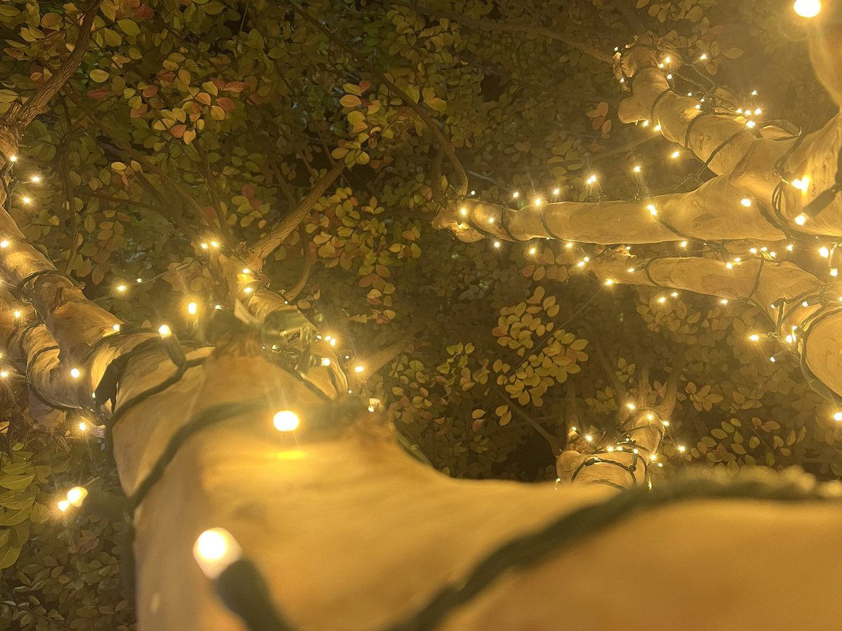 avoidkoolaid's tweet image. too many lights