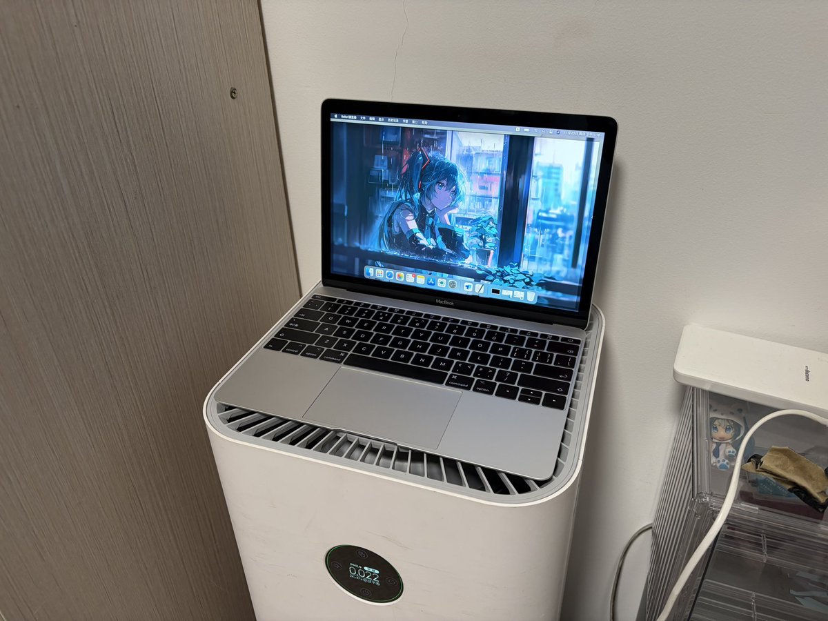 江灵夏草 tweet media