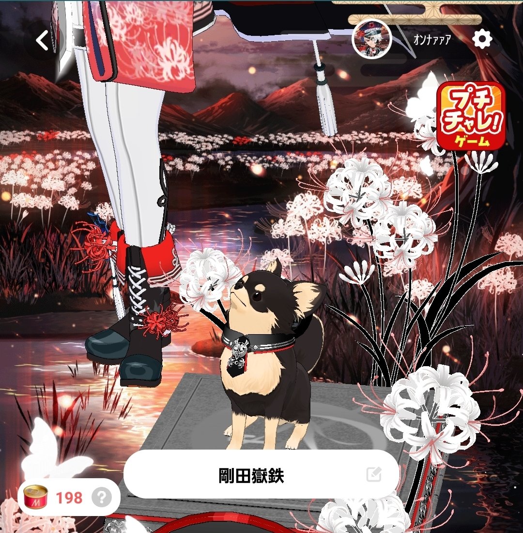 82歳 tweet media