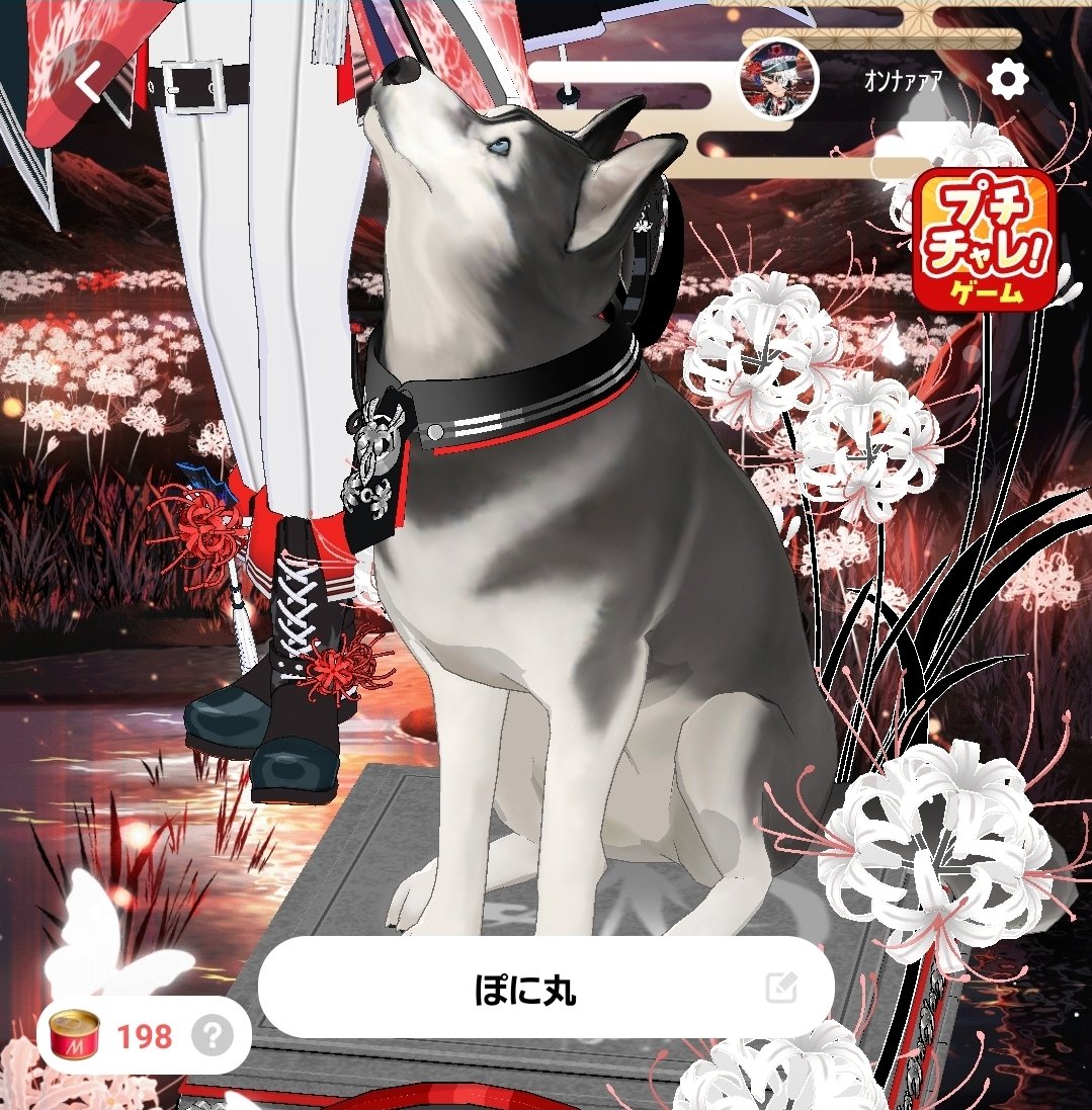 82歳 tweet media