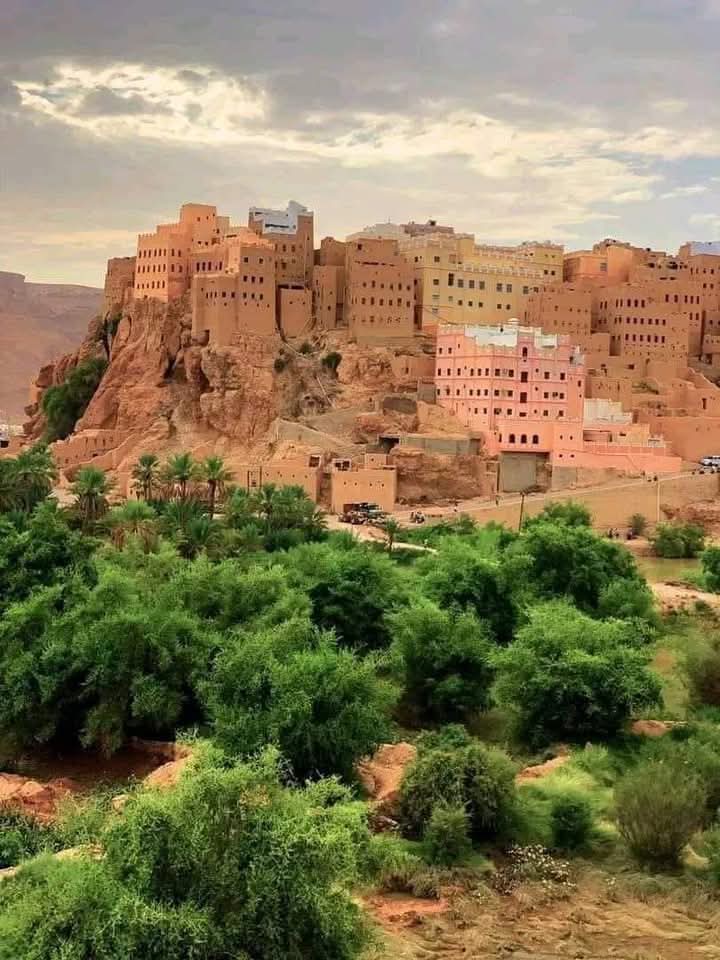 جد الحضارم tweet media