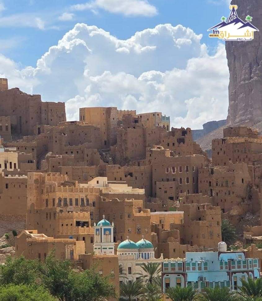 جد الحضارم tweet media
