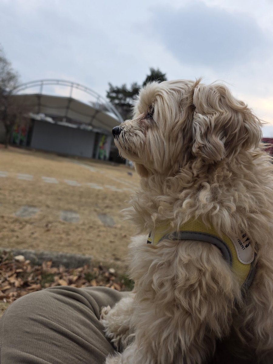 치비 (@hbgamja) on Twitter photo 