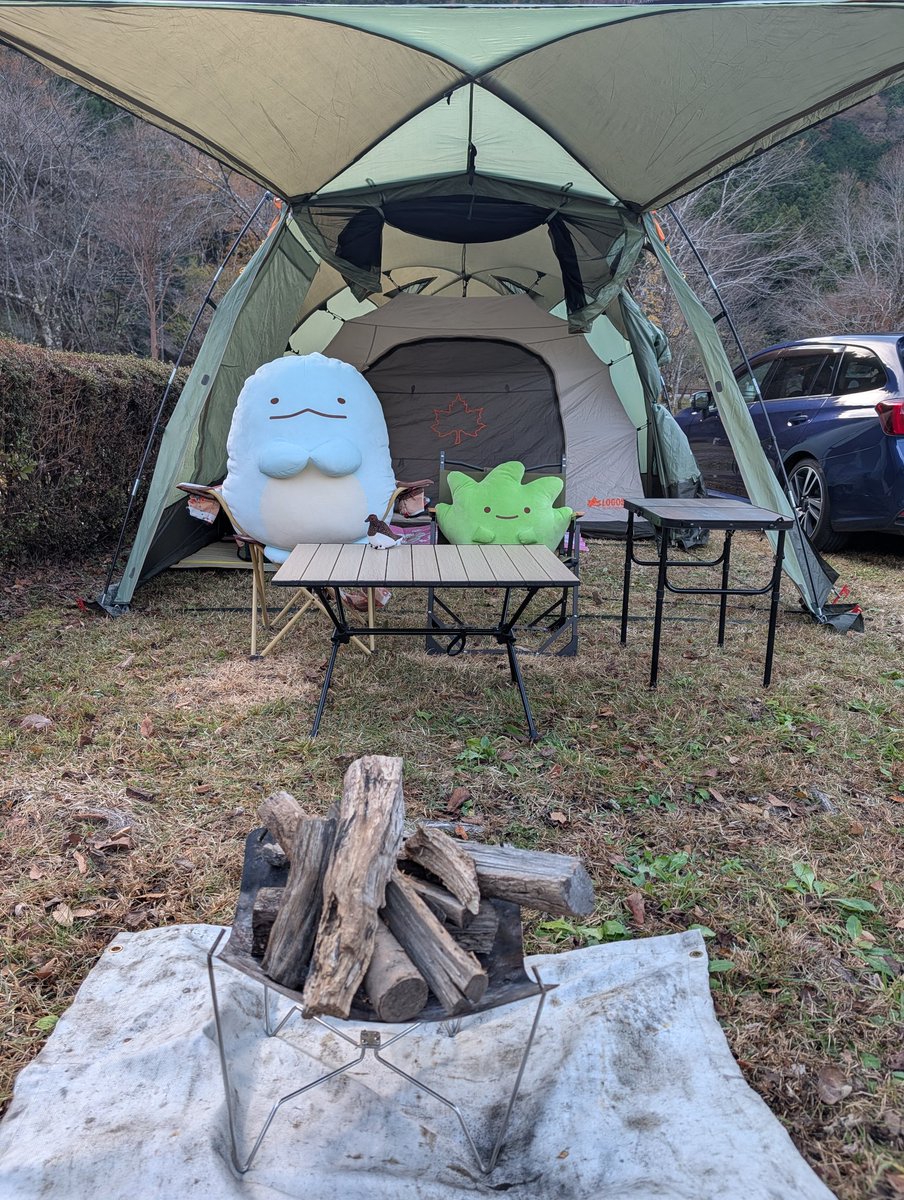 WillowSwamp0511's tweet photo. ここをキャンプ地とするんです🏕️ https://t.co/qXE54mPprP