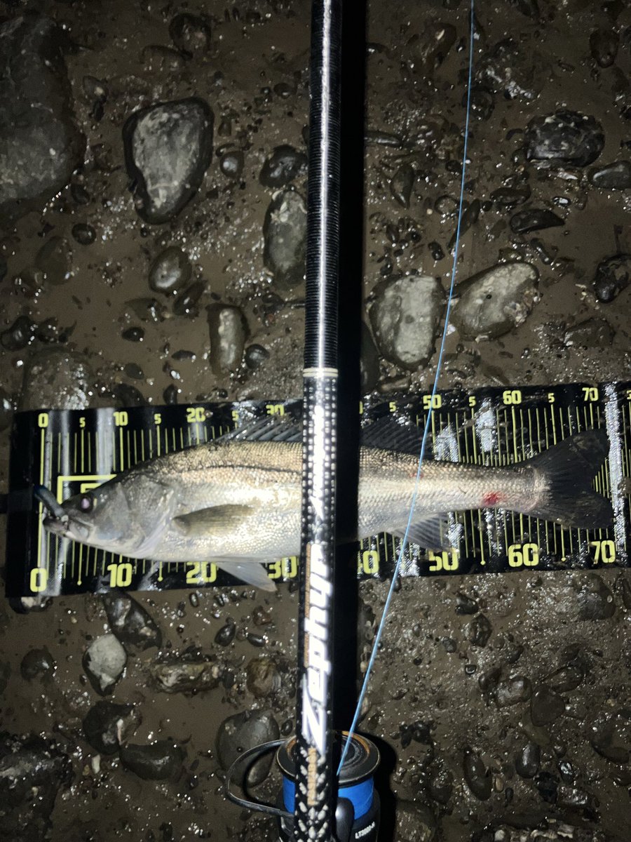 GONZO＠（hayaken) (@GONZOUDAIWA) / Posts / X