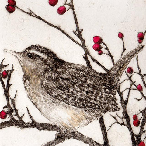 'Wren in Winter' by Sarah Bays, UK printmaker who is inspired by the nature she encounters on her rural walks #ReframingWomenPrintmakers