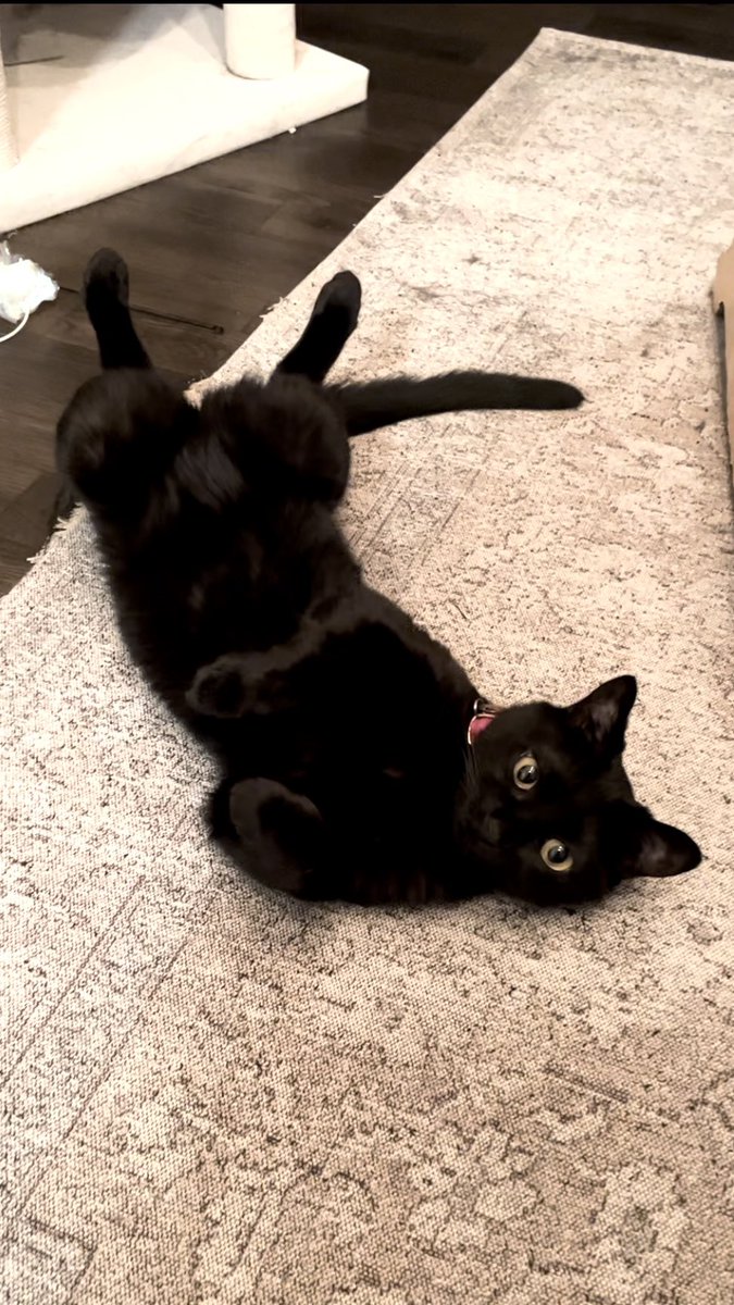 まんまるなふとももがかわいすぎ