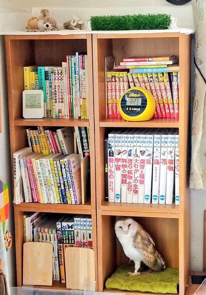 けこ (@UfEutXinpDk3zq2) / Posts / X