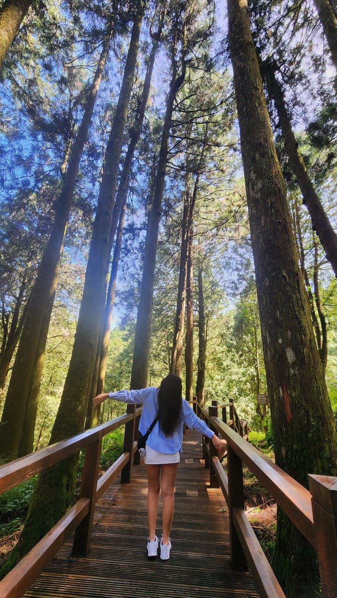 vwnhq_XAX's tweet image. 短い旅でしたが、神木から阿里山までの道のりは本当に素晴らしく、沿途の