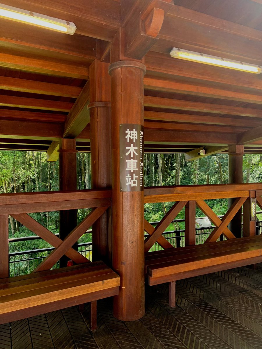 vwnhq_XAX's tweet image. 短い旅でしたが、神木から阿里山までの道のりは本当に素晴らしく、沿途の
