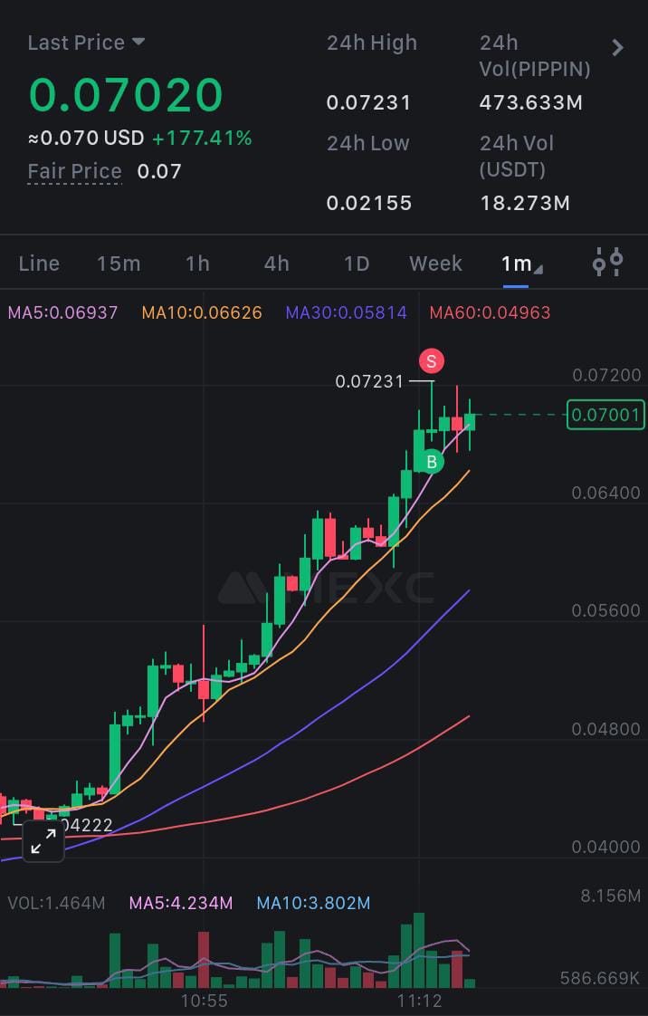 btcdrama's tweet photo. $pippin it's 2.3x in some hours 😱💹 https://t.co/mNAUIE3Suh