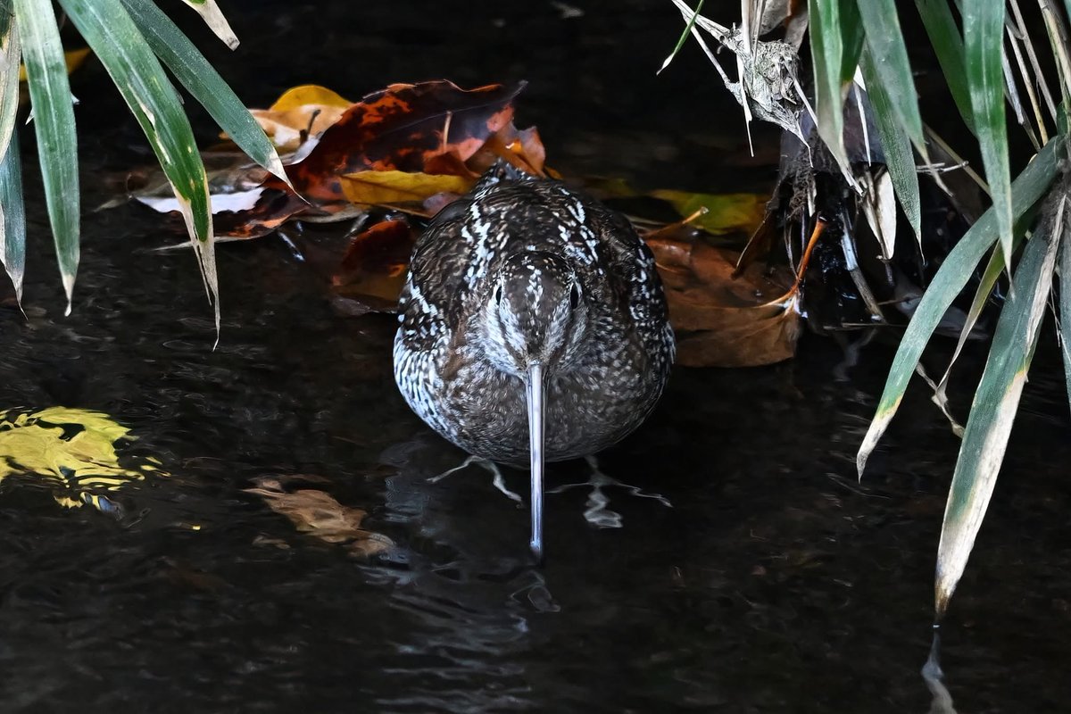 ただいまの…お約束
2025/11/22