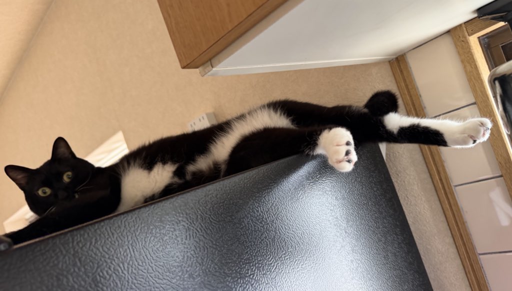 めぐみ♂ (@0625megu_mi) / Posts / X