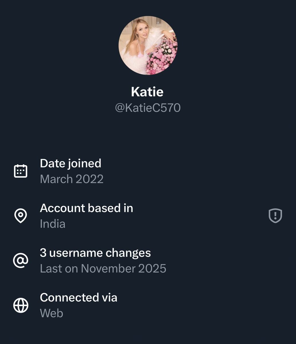 Easier to tell the bot accounts that are following me now! But X should add a feature to show if the account is still the original owner or if it was taken over by someone else.