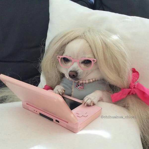 mj is gonna wake up tomorrow with a million texts from me