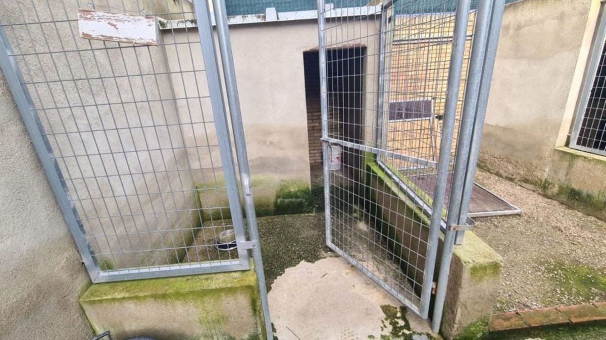AnaAbueloGC's tweet photo. @AUGC_Comunica 🇪🇸#23Noviembre2025
🚨Responsable de construcción instalación a perros que ayudan #Narcotrafico Ministro #Marlaska silencio en #Andalucía #Jaén #Bailen🚨adecuación o traslado
🚨URGENTE a otras instalaciones🚨mientras que los animales enferman y van a morir
https://t.co/OU6nKuaeXb https://t.co/fwy9Z6T5Mr