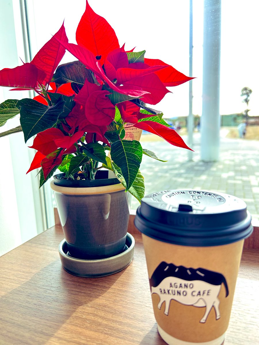 村杉温泉〜あがの道の駅
リラックスTime
鬼瓦職人がつくった鬼さん