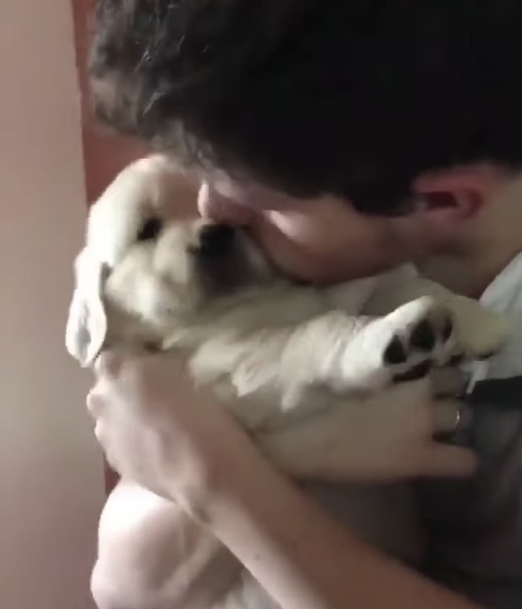 พักผ่อนพักฟื้นเยอะๆ นะน้องซึงมิน 🫳🏻🐶