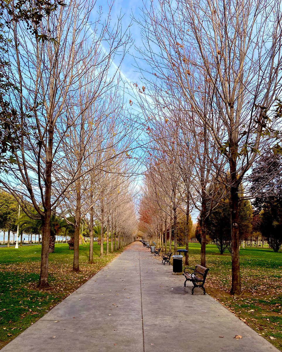 evim sahile yürüme mesafesi ama bu durum anca sahil belli koşulları sağladığında ilgimi çekiyor; insanlardan ve yazdan arındıkça.. iyi pazarlar